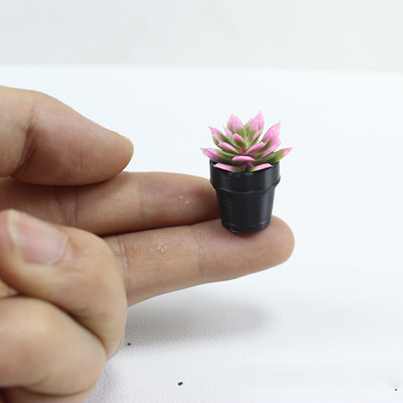8Pcs Miniature Plastic Potted  - Echeveria Succulent 评论和价格