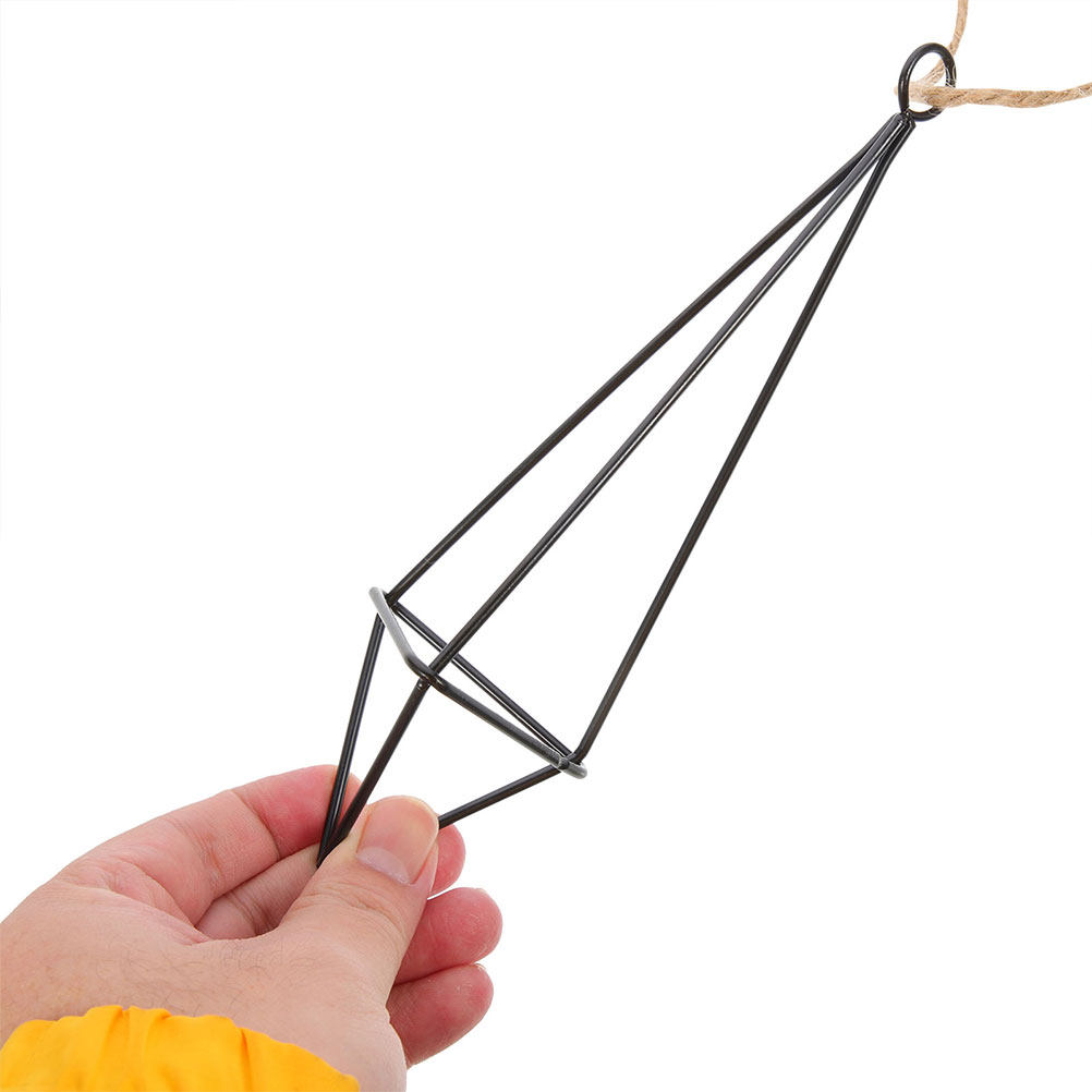 2Pcs Hanging Air Plant Holder  - Spider Plant Hanging 评论和价格