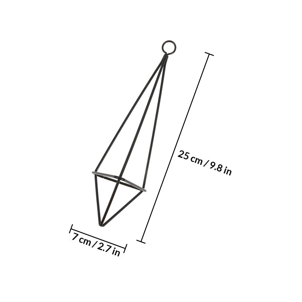 2Pcs Hanging Air Plant Holder  - Spider Plant Hanging 评论和价格