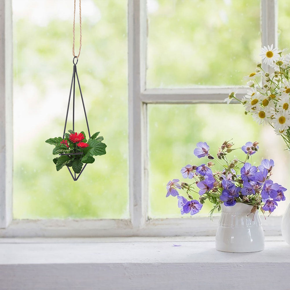 2Pcs Hanging Air Plant Holder  - Spider Plant Hanging 评论和价格